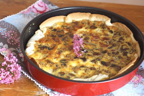 Http kraken onion