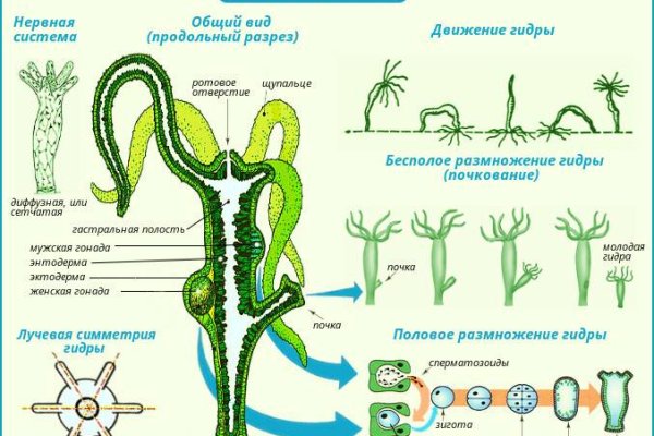Рабочие ссылки и зеркала кракен