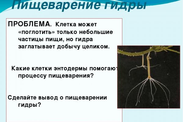 Кракен сайт бошки